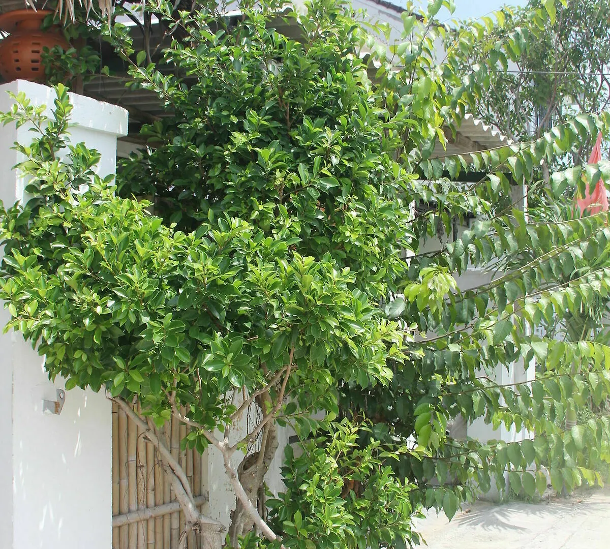 An Bang Vera Homestay Hoi An 0*,  Vietnam