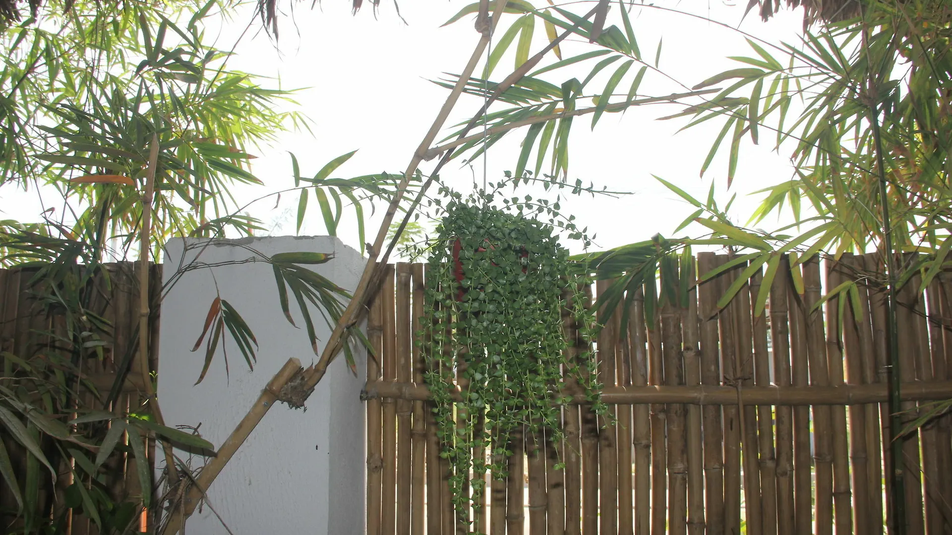 An Bang Vera Homestay Hoi An
